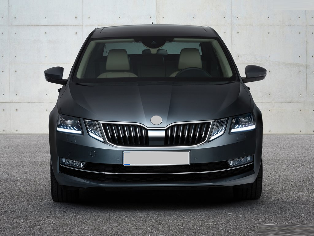 /assets/uploads/skoda-octavia-2020---2024-sogutucu-radyator-sol-ust-flans-665ec5f7c8ef9.jpg